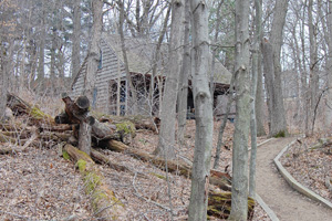 Crone Shelter in Spring