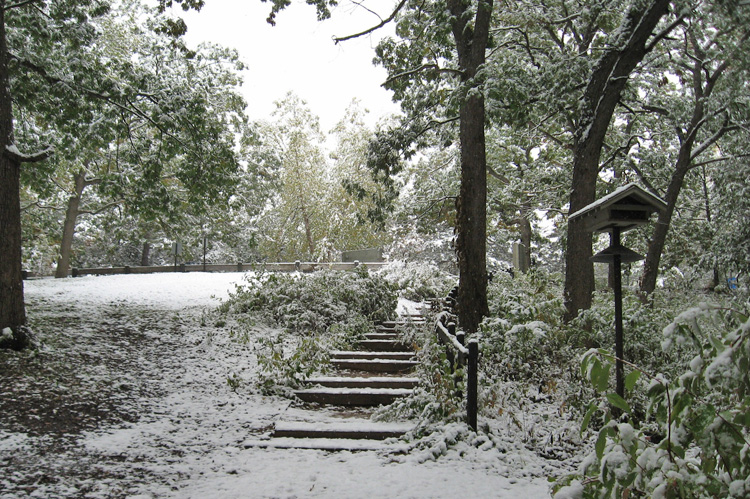 Snowy Monday