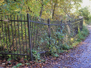 back fence