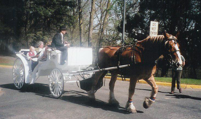 Linneaus arriving at the Garden