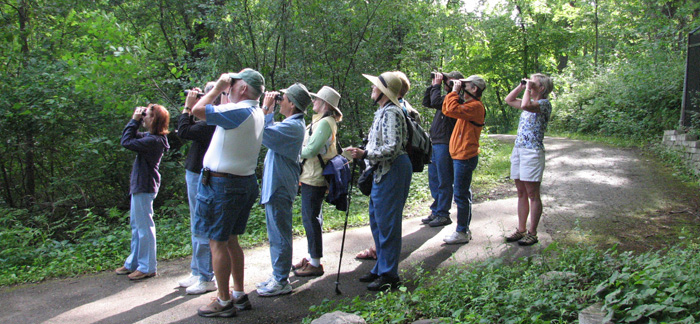 Early birding group