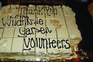 volunteer cake