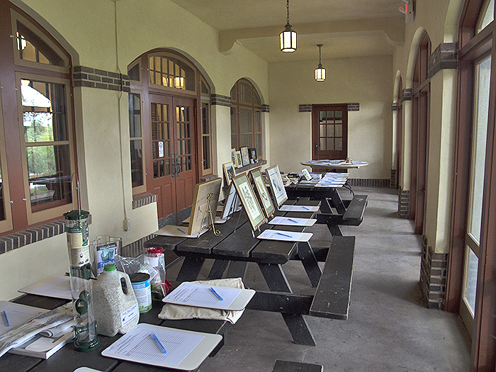 Wirth Pavilion silent auction