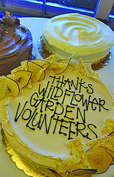 Volunteer event cake