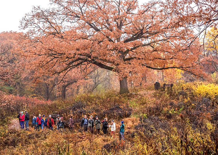 Fall birding group