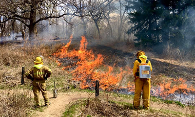 Burning the Prairie in 2021