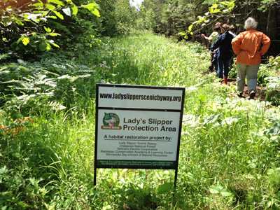 Showy Lady's-slipper protected area
