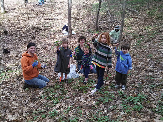 Spring Garlic Mustard Pull