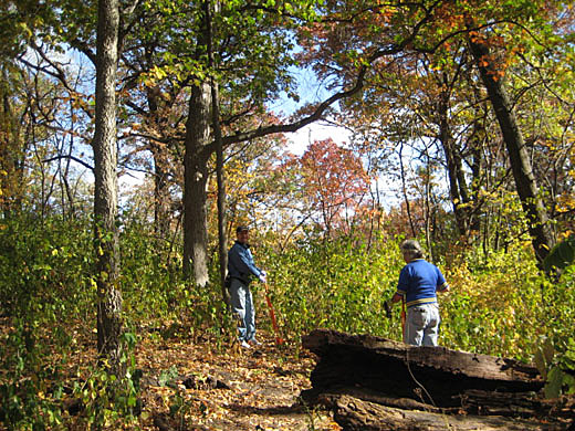 Oct 7 2012 Buckthorn Removal