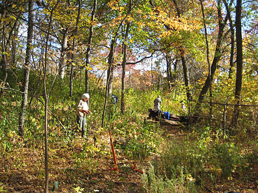Oct 7 2012 Buckthorn Removal