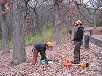 Oct 2013 Buckthorn Removal
