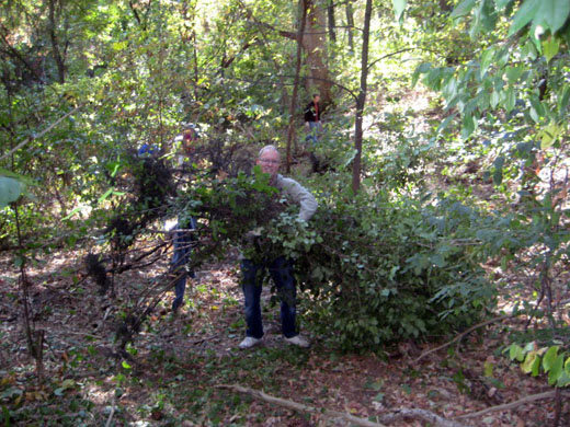 Buckthorn removal Sept 23, 2012