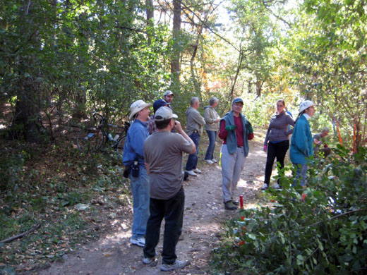 Buckthorn removal Sept 23, 2012