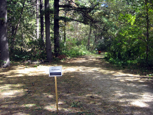 Buckthorn removal Sept 23, 2012