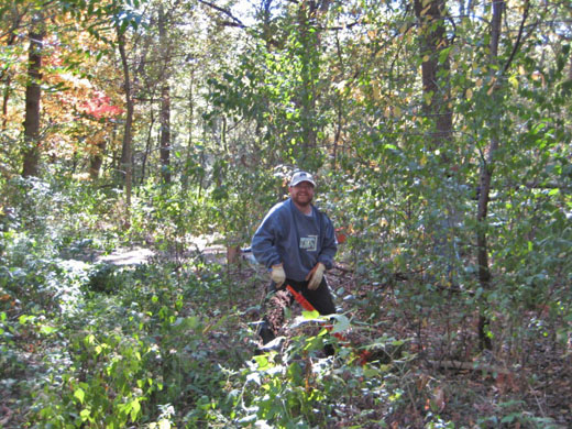 Buckthorn removal Sept 23, 2012