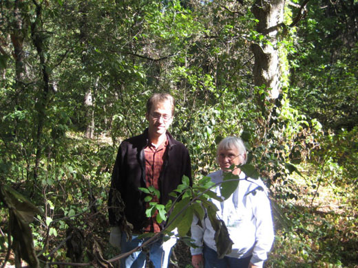 Buckthorn removal Sept 23, 2012