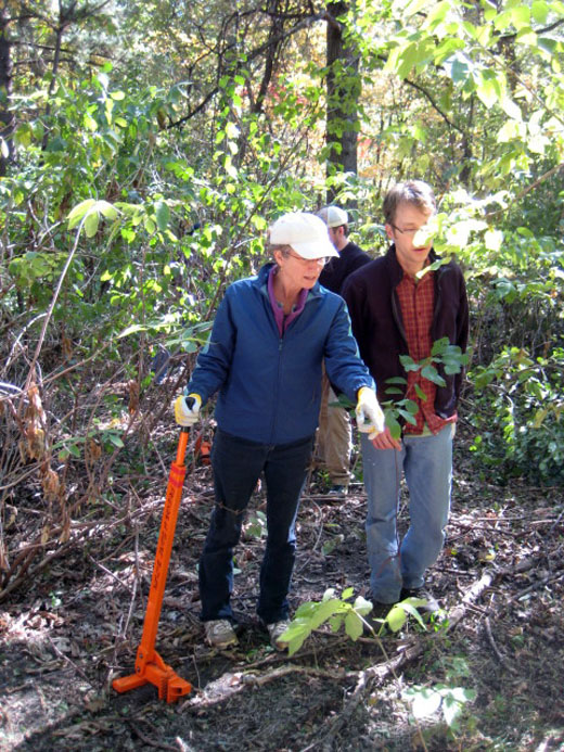Buckthorn removal Sept 23, 2012