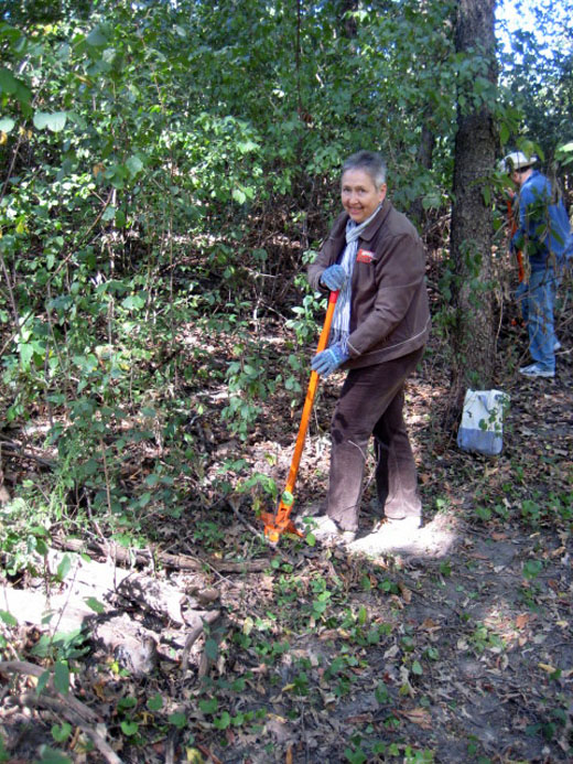 Buckthorn removal Sept 23, 2012