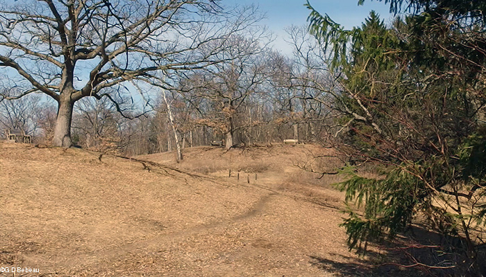 Center Hill before burn