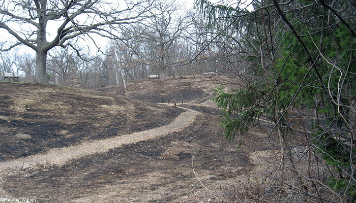 Center hill after burn