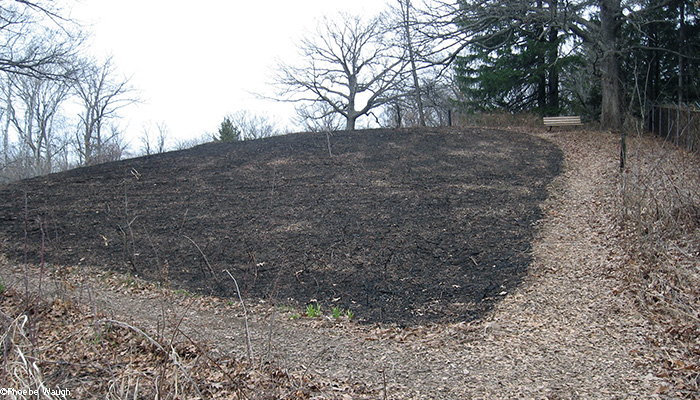 First hill after burn