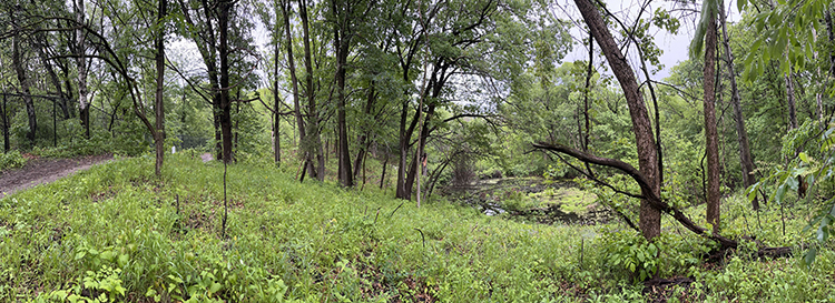 panoramic of hillside