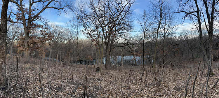 winter work in anwatin savanna