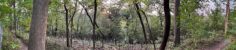 western hillside at Old Andrew's cave
