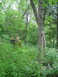 2008 Garlic Mustard Pull