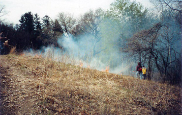 Spring Prairie burn