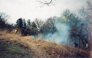 Spring Prairie Burn
