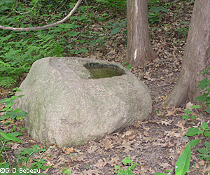 1917 Birdbath