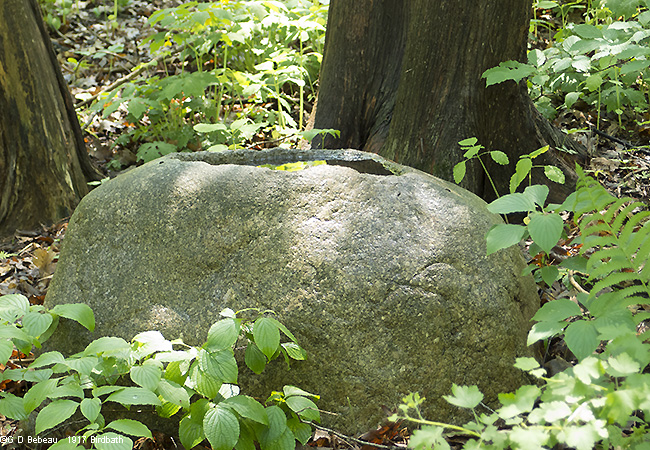 1917 birdbath 2015 photo