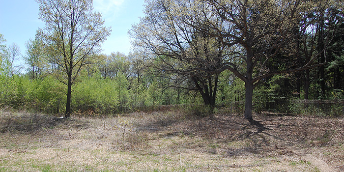 upland garden addition area