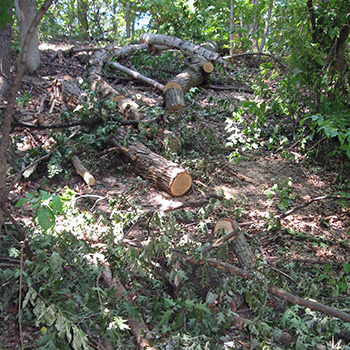 2008 storm damage