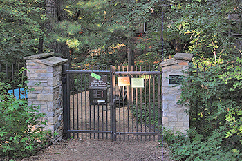 front gate after tree damage