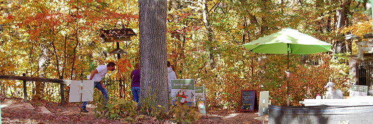 front gate in October