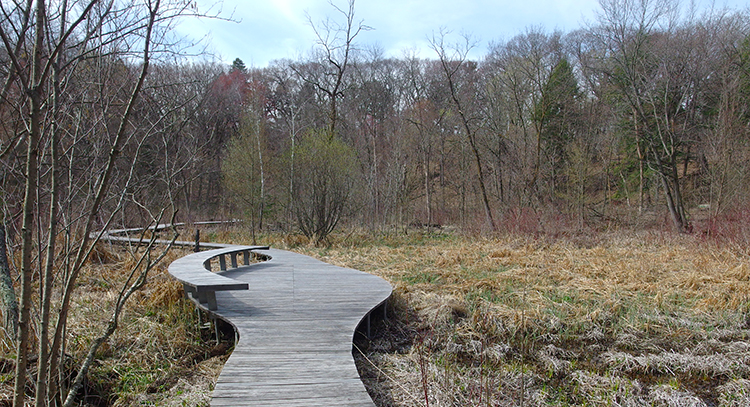 boardwalk in April