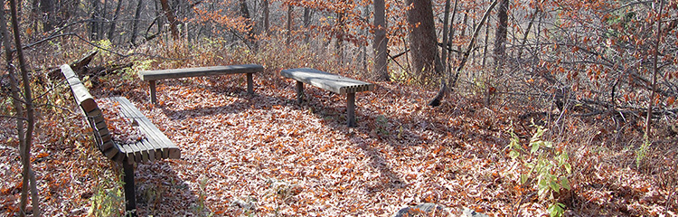 Avery Birding Terrace