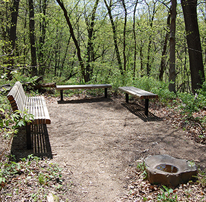 Avery Birding Terrace