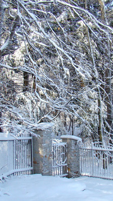 Back gate of the Garden in winter