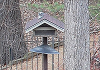 front gate bird feeder