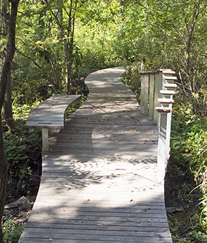 Garden boardwalk phase 1