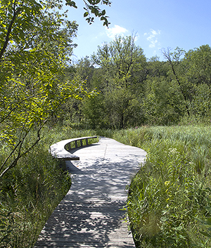 boardwalk