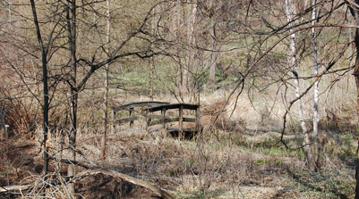 Partial view of the planting area