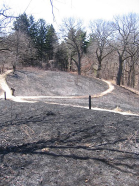April 2007 Burn