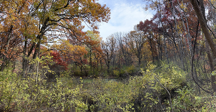 New Wirth Park Work area 2023