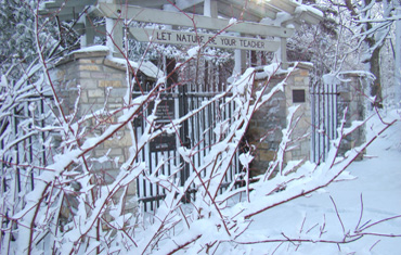 Front Gate in Snow