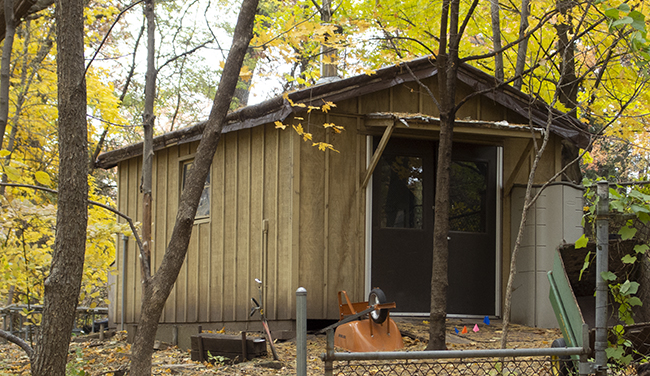 Gardener's Shed Oct 2019