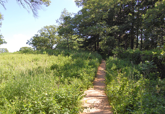 Upland entrance in summer